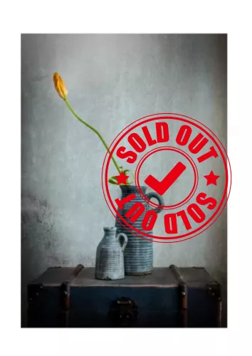 Artmuze SOLD OUT Solo (300292)